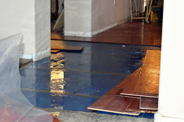Professional Flood Cleanup technician working in Newfield, ME
